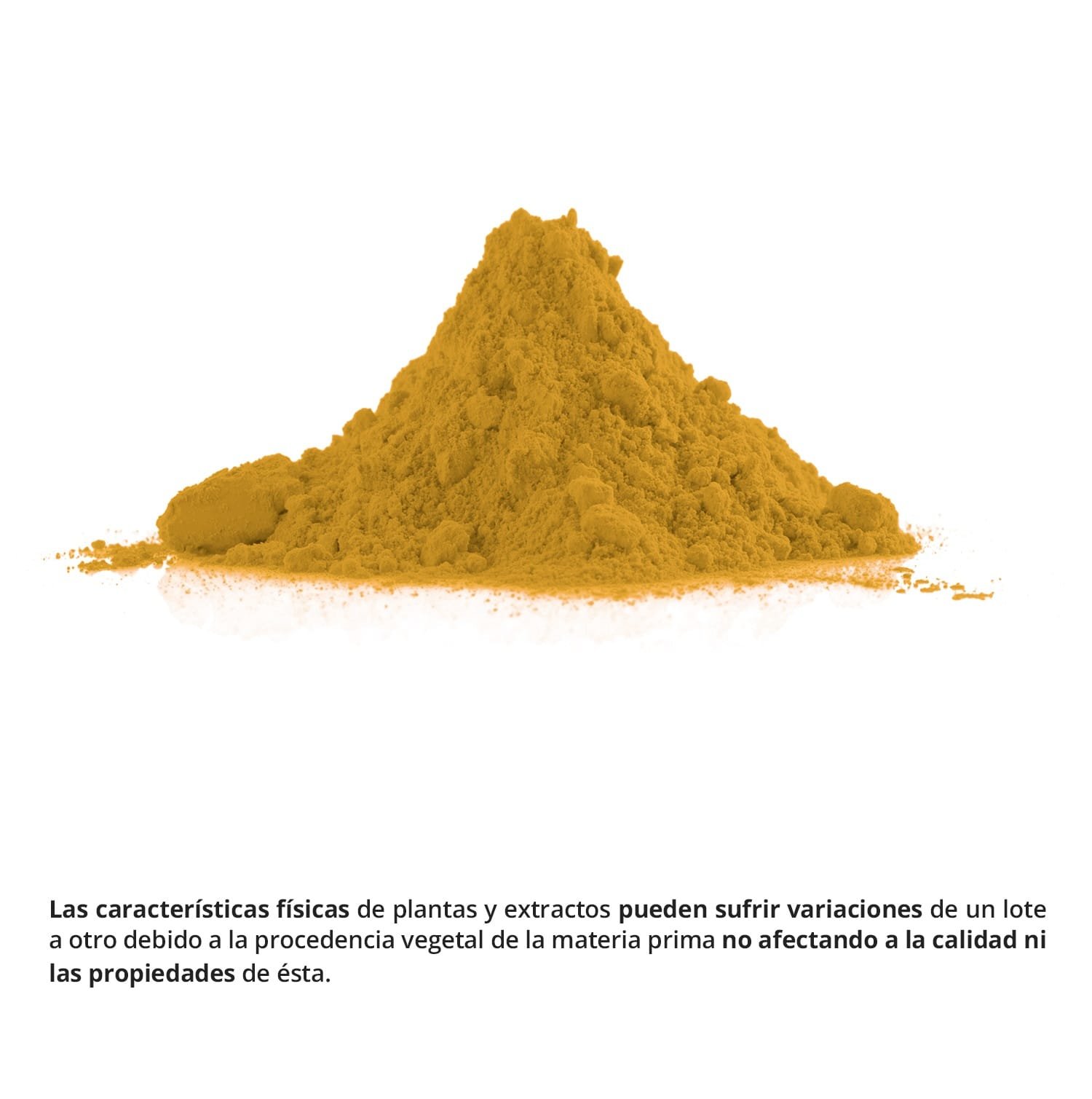 Cúrcuma complex 10.000 mg 60 cápsulas - Imagen 3