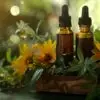 Aceites Esenciales - Beniherbal