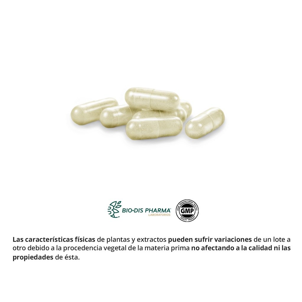 Innopil Complex 600 mg de Nature Essential - Imagen 4