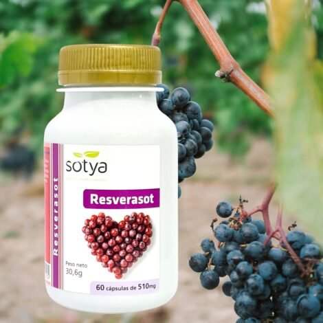 Resverasot 60 cápsulas vegetales 510 mg Sotya Resveratrol